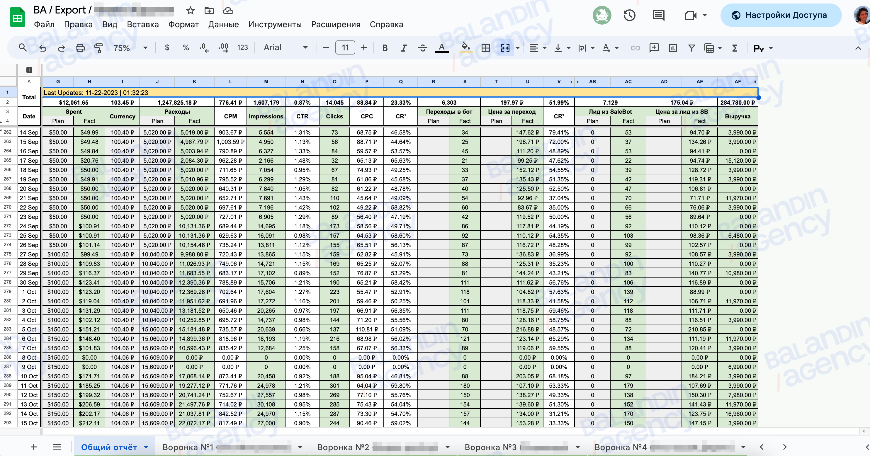 Reports for the client